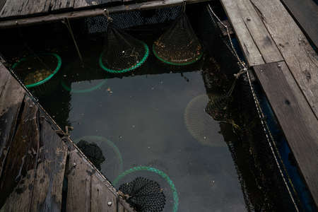 Fish cages sea bay built with blue plastic barrels animal industry