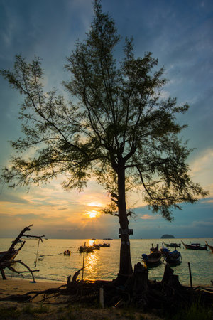 Sunrise sea beach with wooden boat white sand beach nature landscapeの写真素材