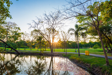 Green tree park with river pond in city public park nature landscape sceneの写真素材