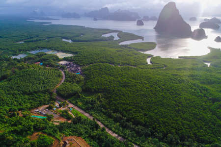 Aerial view sea and river in tropical mangrove green tree forest with fog morning sunriseの写真素材