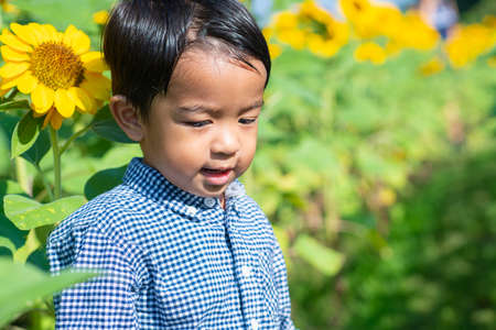 Portrait of adorable little asian kid boy on summer sunflower field outdoors, Kids happiness conceptの写真素材