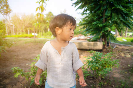 Little toddler boy walking outdoor city park with tree nature learnningの写真素材
