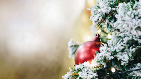 Christmas ball on pine tree brach with bokeh blurred of warm light decorate i supermarket Merry Xmasの写真素材