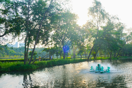 Prak pond morning sunrise with tree forest city public parkの写真素材