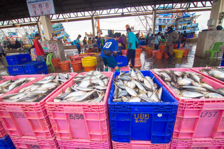 Mahachai Samutsakhon, Thailand - November 7, 2020 : Unidentified people wear surgical mask and choosing seafood fish at Mahachai fresh marketのeditorial素材