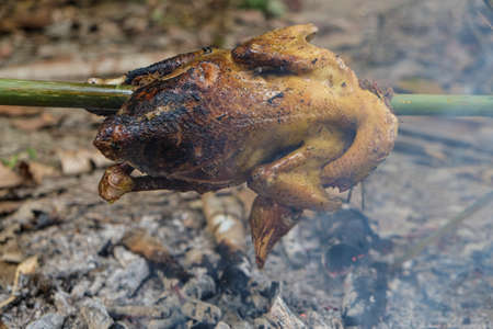 Chicken grilled on fire outdoor local camping forest with smoke