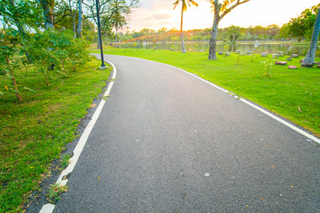 Asphalt walk and run pathway in city public park evening sunset nature landscape