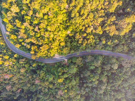 Asphalt road mountain green tree forest nature transport aerial view