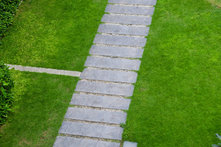 Cement pathway on grenn meadow grass to view copy space home gardenの写真素材