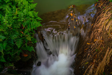 Beautiful waterfall in tropical rainforest green tree background nature recreation