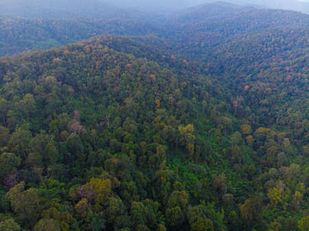 Aerial view green tree forest on mountainn jungle with sun light nature landscapeの写真素材