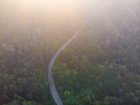 Asphalt road mountain green tree forest nature transport aerial view
