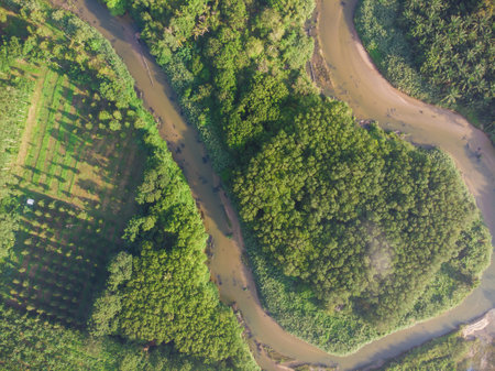 Aerial view river curve with tropical rainforest nature landscape