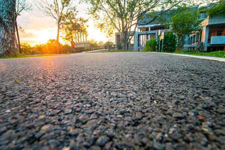 Asphalt walk and running pathway in green city park sunset nature recreation