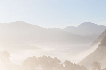 Sunrise on mountain forest pine tree with fog morning fresh air nature landscapeの写真素材