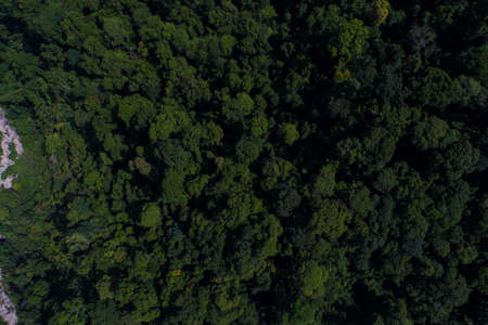 Green mountain tropical rain forest in Thailand aerial view