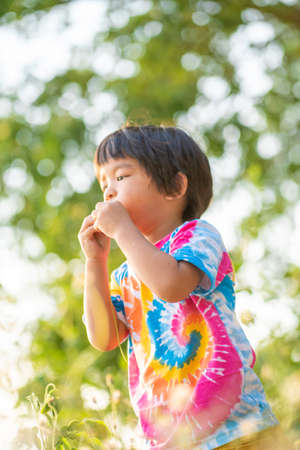 Asian boy playinng grass flower sunset light in outdoor park Kid relax in tree parkの写真素材