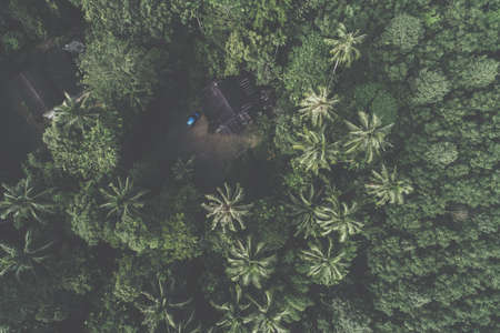 Peaceful house in tropical rain forest with palm tree aerial viewの写真素材