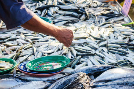 Tuna fish sell in local fishery market seafood industry