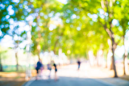 Abstract blurred green tree park with sun light nature backgroundの写真素材