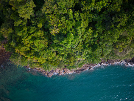 Green tree forest on tropical mountain in island nature landscape aerial view