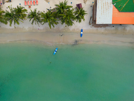 Tropical palm trees on the sandy beach and turquoise ocean from above. Aerial view summer nature landscape.の写真素材