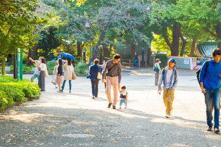 TOKYO-JAPAN-OCTOBER 20 : People travel by walking in nature at Ueno park in autumn season, Japan, October 20, 2016 ,Tokyo Japanのeditorial素材