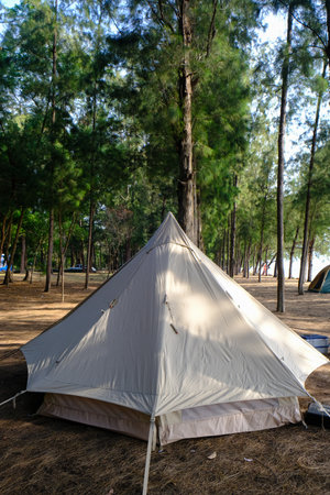 Family camping tent on beach front with pine tree forest summer vacation nature background