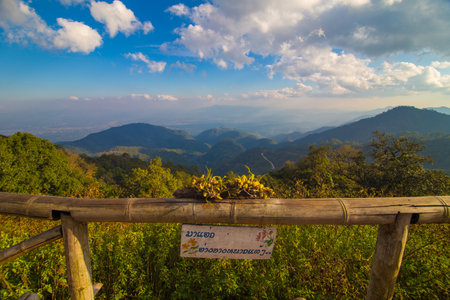 Mountain peak with grass pine forest sunset sky cloud nature landscapeの写真素材