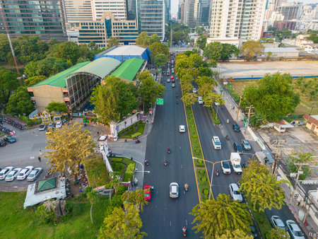 Aerial view car trabsport rushing hour on city road with green tree park Bangkok Thailandのeditorial素材