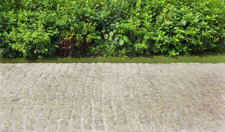 Stone walkway in the park with green grass の写真素材