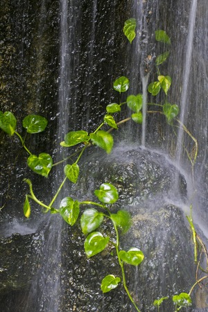 waterfall in deep forest of Thailandの写真素材