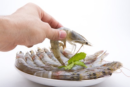 raw shrimps on white backgroundの写真素材