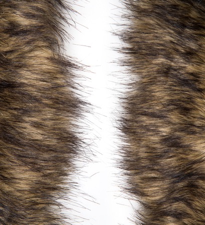 fur texture backgroundの写真素材