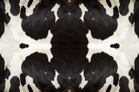 real black and white cow hideの写真素材