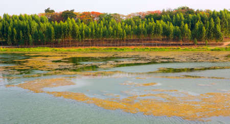 beautiful Lake