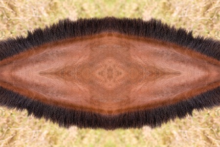 Colorful abstract pattern on the wallの写真素材