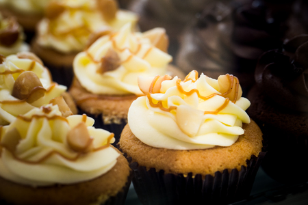 Rows of Pastel Colored Romantic Cupcakesの写真素材
