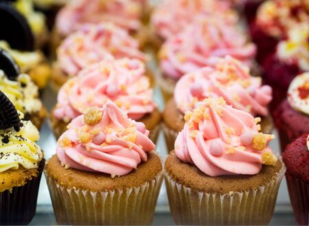 Rows of Pastel Colored Romantic Cupcakesの写真素材