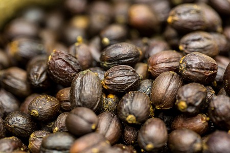 dried berries coffee beansの写真素材