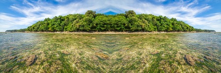 An ocean underwater reef with sun light through water surface. seagrass fieldの写真素材