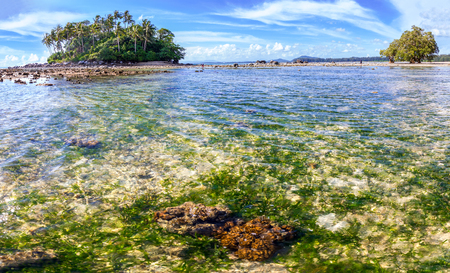 An ocean underwater reef with sun light through water surface. seagrass fieldの写真素材