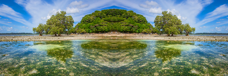 An ocean underwater reef with sun light through water surface. seagrass field