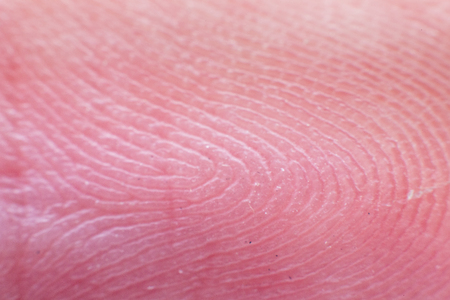 Fingerprint macroの写真素材