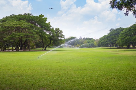 Lawn in the gardenの写真素材