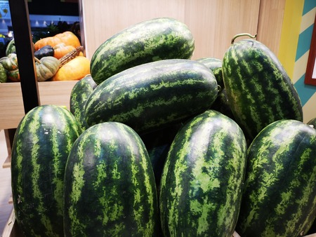Watermelon cooked large in the farm.の写真素材