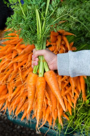 organic orange carrot lays on table for sales to tourist in local marketの写真素材