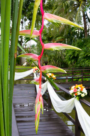 Landscaping in the garden. The path in the garden.の写真素材