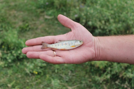 Apparently it was one of samyyh  successful fishing trips  our fishermenの写真素材