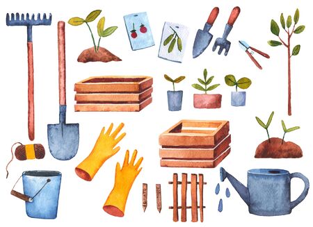 set spring gardener, vegetable garden, rake shovels, seeds, seedlings watercolor illustration for children on a white backgroundの写真素材